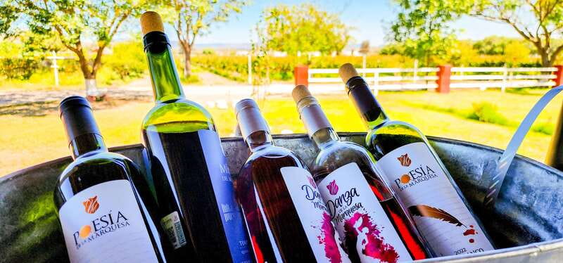 Querétaro: Haciendas, Vineyards, and Magical Towns Day Trip - Should you book it? My decision guide
