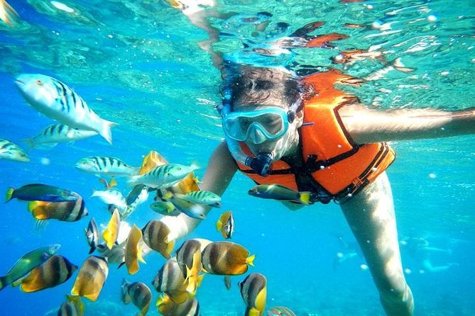 Reef Snorkeling in National Park from Cancun with Beachside Lunch - Puerto Morelos on Land: The Beach, Shops, and the Leaning Lighthouse