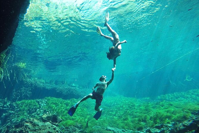 Ride to a life changing cenotes tour - Cenote stop one: the cave feeling, with a jungle-facing view