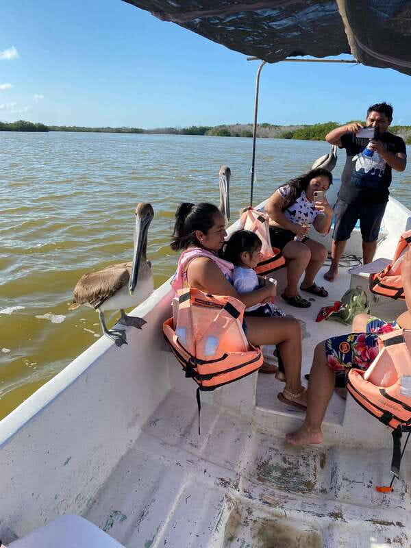 Rio Lagartos and Las Coloradas: Safari Flamingo Luxury - End your tour with a swim on the Gulf of Mexico beach