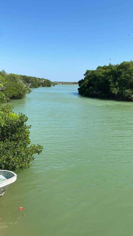 Rio Lagartos and Las Coloradas: Safari Flamingo Luxury - First stop: Rio Lagartos, where the birds do most of the talking