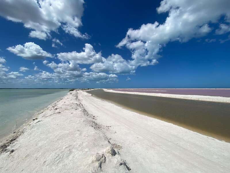 Rio Lagartos and Las Coloradas: Safari Flamingo Luxury - Crocodile viewing, done the safe, observational way