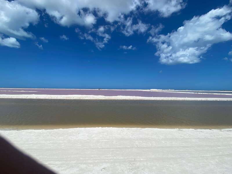 Río Lagartos and Las Coloradas: Wildlife Natural Experience - Price and value: 3,500 MXN per private group, and what can be extra