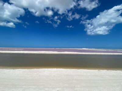 Río Lagartos and Las Coloradas: Wildlife Natural Experience