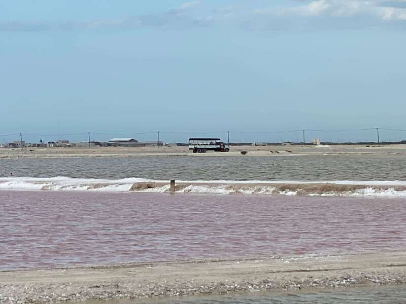 Río Lagartos and Las Coloradas: Wildlife Natural Experience - Las Coloradas pink lagoons and the salt factory backside