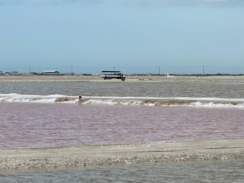 Río Lagartos and Las Coloradas: Wildlife Natural Experience - Mangrove walk for a slower, more grounded break