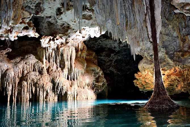 Rio Secreto Skip-the-Line Admission Ticket - Lunch and the small comfort wins