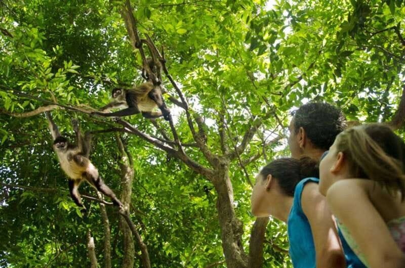 Riviera Maya: Croco Cun Interactive Zoo Tour - Key things I’d focus on before you go