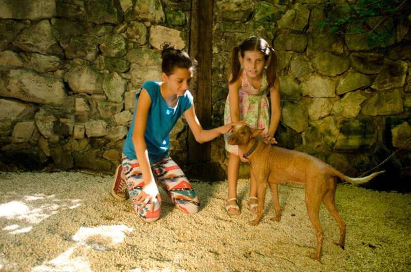 Riviera Maya: Croco Cun Interactive Zoo Tour - Croco Cun Zoo: why this 1-hour interactive tour is worth your time