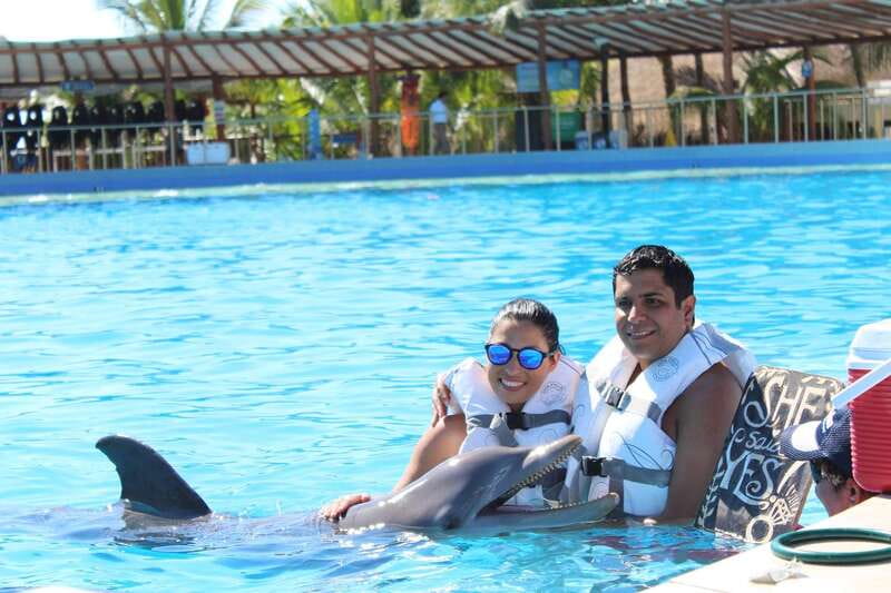 Riviera Maya: Dolphin Encounter with Beach Club Access - Dolphin Discovery Maroma and Maroma Beach Club: a day that actually feels like vacation