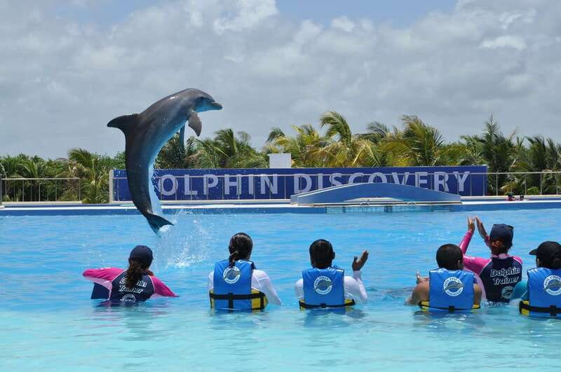 Riviera Maya: Dolphin Encounter with Beach Club Access - Getting there: finding Dolphin Discovery Maroma near Dorado Maroma