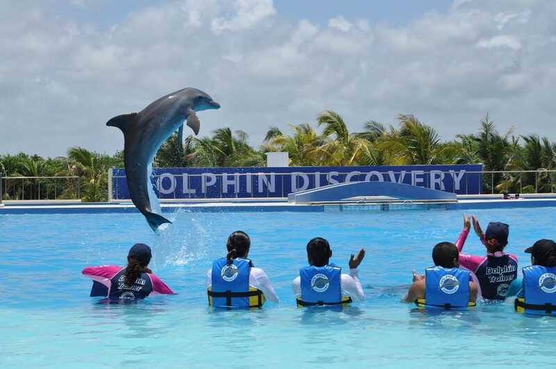 Riviera Maya: Dolphin Encounter with Beach Club Access - Marine mammal specialists: learning about behavior, nursery, and reproduction