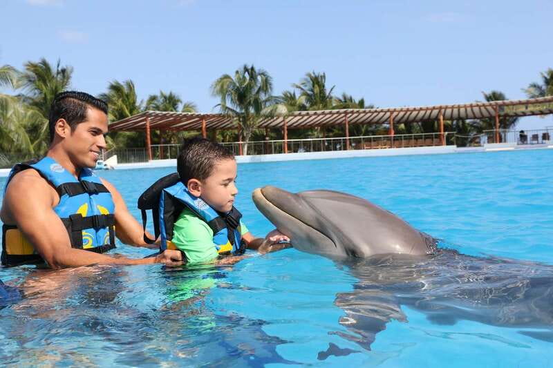Riviera Maya: Dolphin Encounter with Beach Club Access - The dolphin encounter schedule: 15 minutes of briefing, 30 minutes in the water