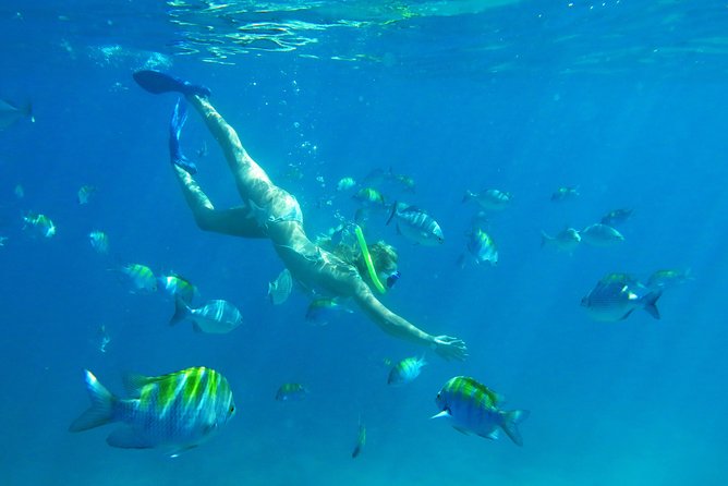 Riviera Maya Luxury Snorkeling Cruise with Lunch and Drinks - The catamaran experience, fun on deck and a watchful crew in the water