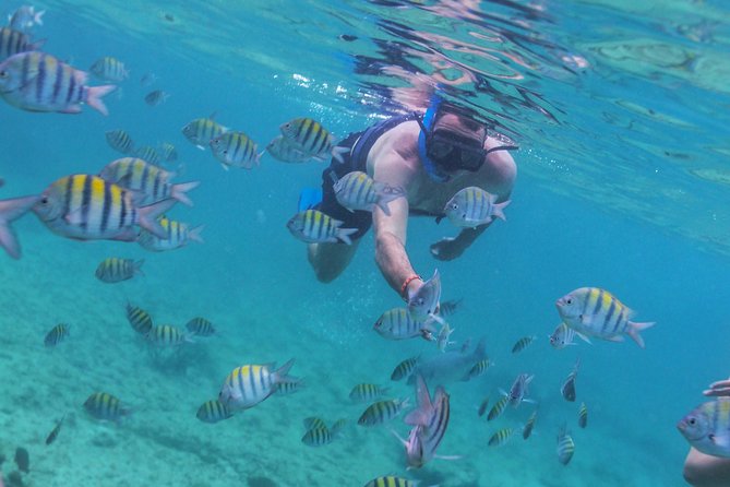 Riviera Maya Luxury Snorkeling Cruise with Lunch and Drinks - Snorkeling gear, life jackets, and how to feel secure