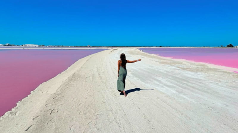 Riviera Maya: Rio Lagartos & Las Coloradas Day Trip w/Lunch - Rio Lagartos and Las Coloradas in one 12-hour day
