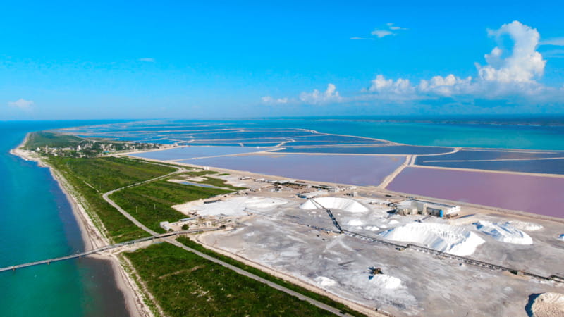 Riviera Maya: Rio Lagartos & Las Coloradas Day Trip w/Lunch - The Las Coloradas bridge stop and salt-lake views