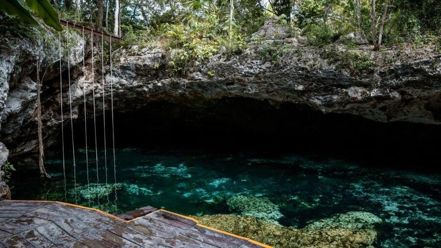 Riviera Maya: Tulum Ruins and 2 Cenotes Half-Day Tour - Practical tips that keep the day smooth: sun, shoes, water rules