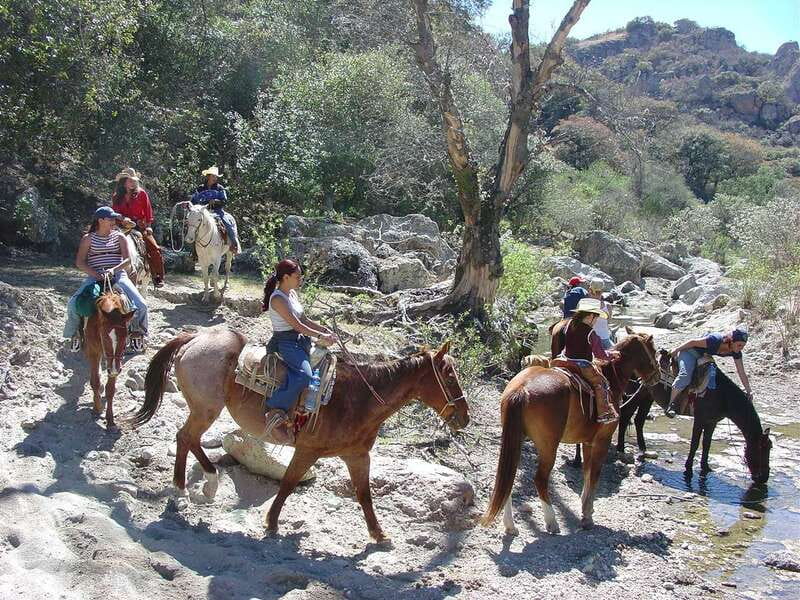 San Miguel Allende: Half-Day Horseback Riding Adventure - The 40-Minute Descent Back Toward the Winding River