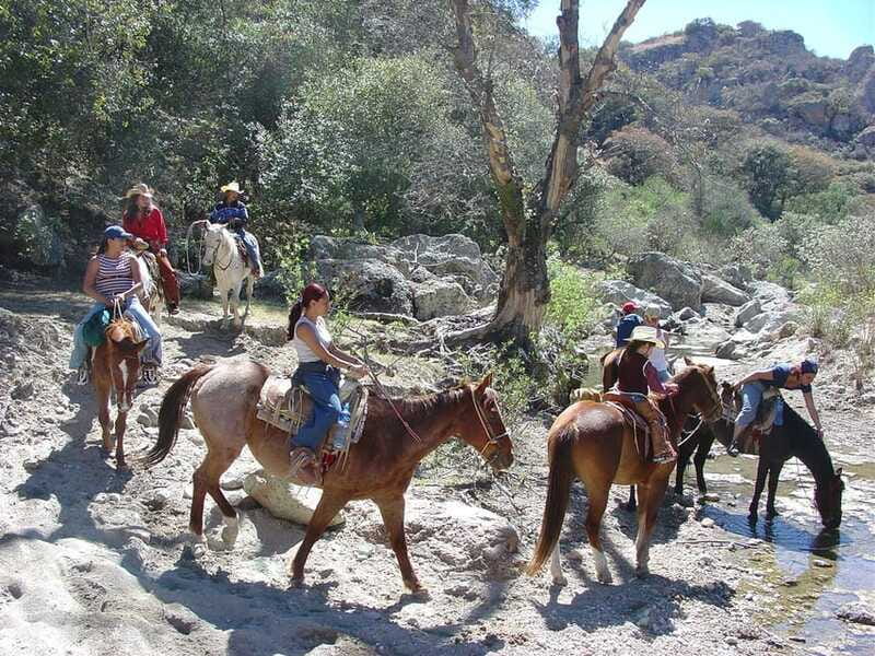 San Miguel Allende: Half-Day Horseback Riding Adventure - Organic Ranch-Style Meal: What You Really Get After Riding