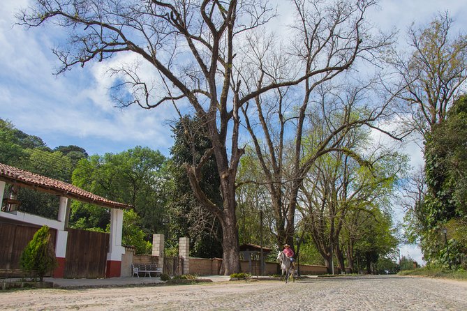 San Sebastian del Oeste - Silversmith workshop and mining-era stories that give context