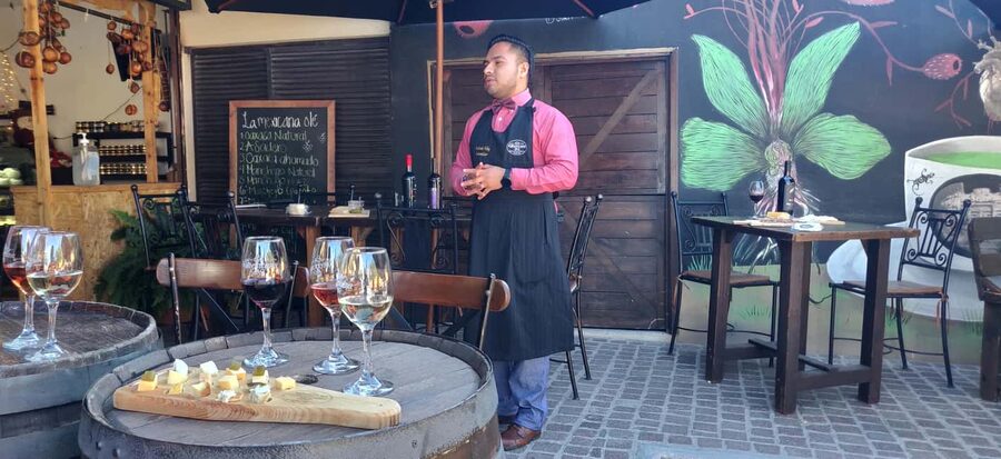 Santiago de Querétaro: Pueblos Mágicos Cheese and Wine Route - Language, comfort, and the small rules that affect how you enjoy it