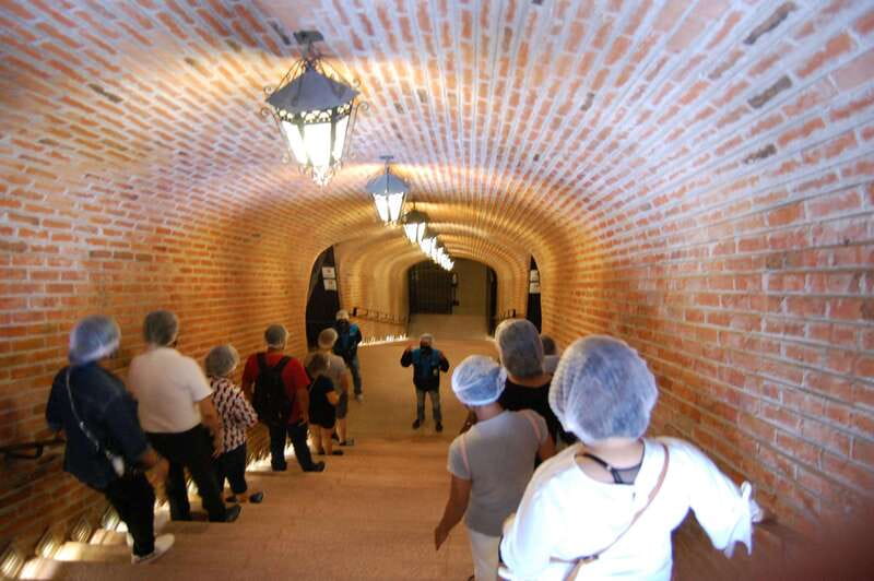 Santiago de Querétaro: Pueblos Mágicos Cheese and Wine Route - Cheese and wine tasting: the heart of the route