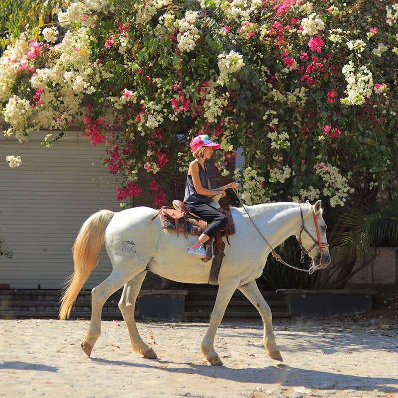 Sayulita: Horseback Riding Tour - Jungle to Beach in Sayulita, What This Ride Really Delivers