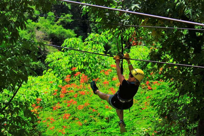 Sayulita/Punta Mita: Zip Lines with Ocean View - The Tequila Tasting Finish (Plus Food Options)