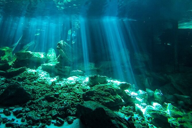 Scuba Diving in Cenote Dos Ojos from Playa del Carmen - Getting started at 8:00 am: pickup, drive time, and the first comfort check