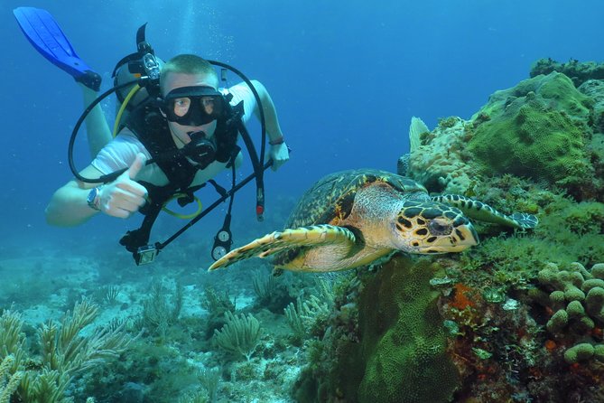 Scuba Diving Under Water Museum and Reef for beginners - Key Highlights You’ll Care About