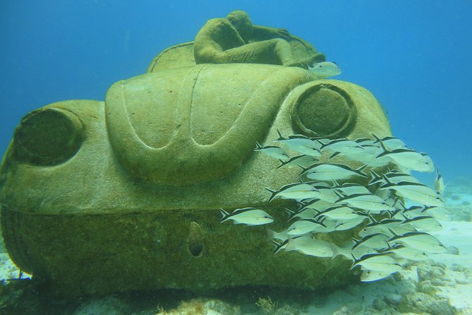 Scuba Diving Under Water Museum and Reef for beginners - The Real Hook: MUSA Plus a Beginner-Friendly Reef