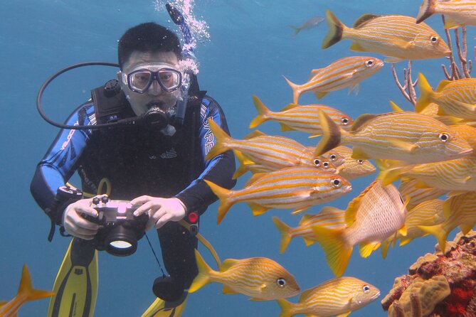 Scuba Diving Under Water Museum and Reef for beginners - Who Should Book This Beginner Program