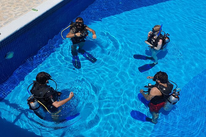 Scuba Diving Under Water Museum and Reef for beginners - Should You Book Coconut Divers’ Underwater Museum and Reef?