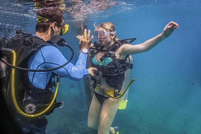 Scuba Diving with a 5-Star PADI Center in Puerto Vallarta - A PADI 5-Star day on Banderas Bay