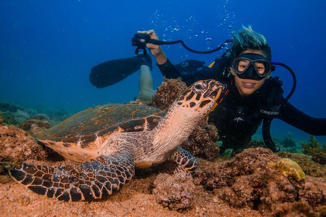 Scuba Diving with a 5-Star PADI Center in Puerto Vallarta - Price and logistics: where value is good and where costs creep