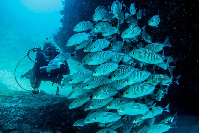 Scuba Diving with a 5-Star PADI Center in Puerto Vallarta - Safety, comfort, and the human factor that matters