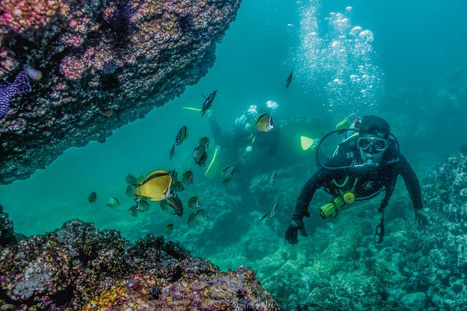 Scuba Diving with a 5-Star PADI Center in Puerto Vallarta - Getting there and making the day run smoother