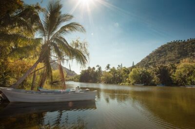 Sea Safari & Beach BBQ at secluded Pizota jungle beach