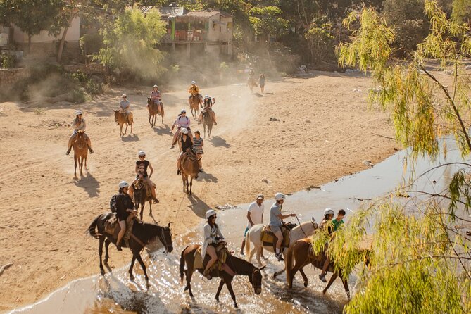 Sea Safari & Beach BBQ at secluded Pizota jungle beach - Yelapa Beach and the River-Trail Horse Time