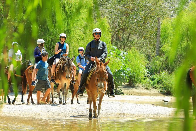 Sea Safari & Beach BBQ at secluded Pizota jungle beach - Snorkeling and Kayak Time: Fun Options, Variable Clarity