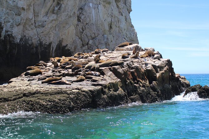 Shared Tour to the Arch of Cabo San Lucas - The glass-bottom part: what to expect and what to verify