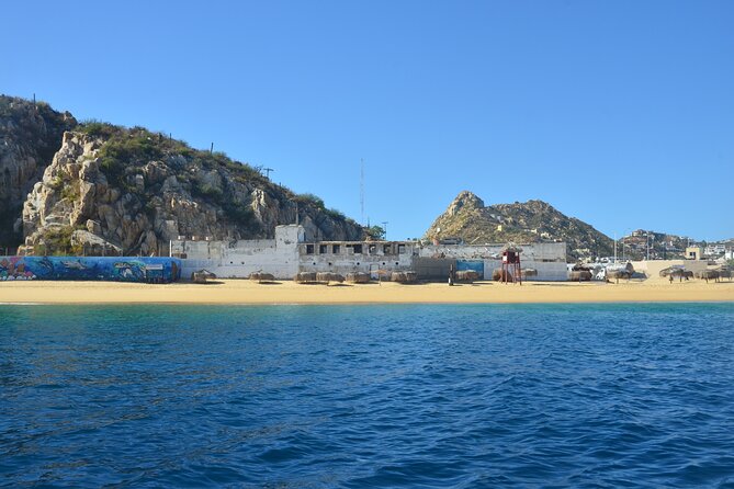 Shared Tour to the Arch of Cabo San Lucas - Wildlife odds: fish, sea lions, and the occasional whale
