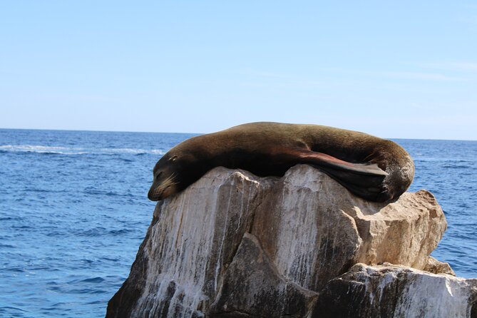 Shared Tour to the Arch of Cabo San Lucas - Price and what $41.73 buys you (and what it doesn’t)
