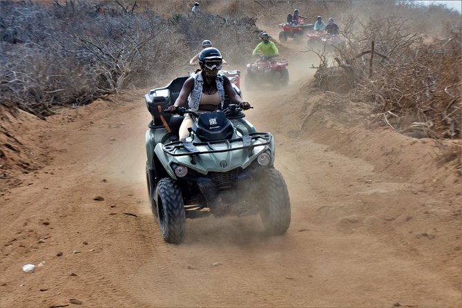 Single ATV Tour from Migriño Beach & Desert - Whale Watching in Season: Two Rest Stops With Real Chance