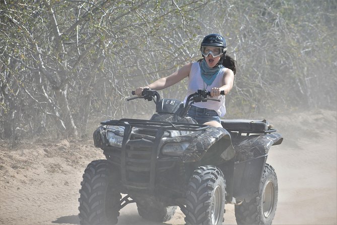 Single ATV Tour from Migriño Beach & Desert - The Cactus Learning Stop: 50+ Species, Including Baja Endemics