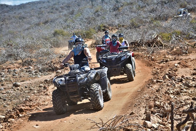 Single ATV Tour from Migriño Beach & Desert - Who This ATV Tour Suits Best