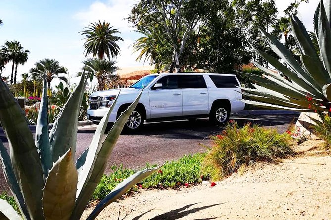 SJD Airport to Cabo San Lucas - One way service - Value for Money: Why Drinks and a Private Ride Can Be Worth It
