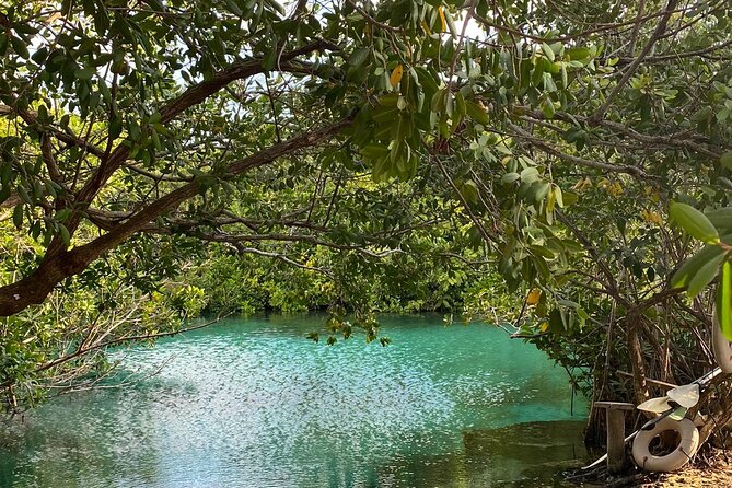 Small-Group 3 Cenotes Adventure Tour - Lunch and recharge: snacks, picnic-style timing, and not getting cranky