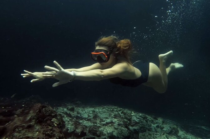 Small-Group 3 Hidden Cenotes Adventure with Tequila Tasting - Price and Logistics: The Half-Day Label Can Be Optimistic